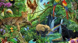 Timeline: Charles Darwin