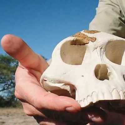 Timeline: EN BUSCA DEL PRIMER EUROPEO