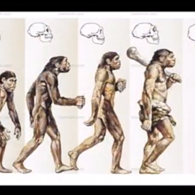 Timeline: Evolucion del hombre