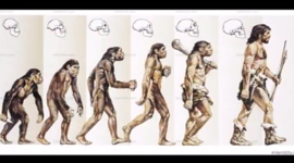 Timeline: Evolucion del hombre