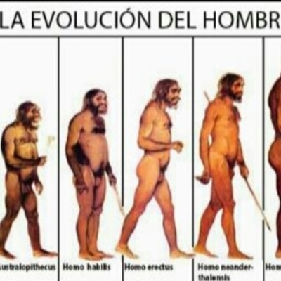 Timeline: Evolucion del Hombre