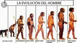 Timeline: Evolucion del Hombre