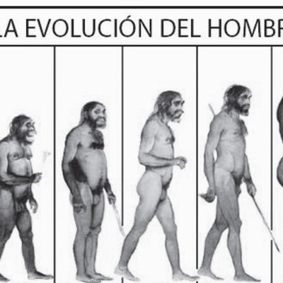 Timeline: LA EVOLUCIÓN DEL SER HUMANO