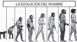 Timeline: LA EVOLUCIÓN DEL SER HUMANO
