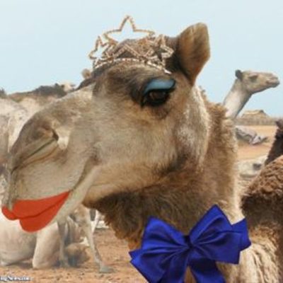 Timeline: La vita di un grande poeta (matti il bello) seguitelo su tutti i social @mattii_s