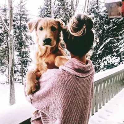 Timeline: Estudis Clara