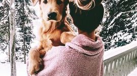 Timeline: Estudis Clara