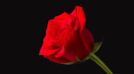 Timeline: Soundtrack of My Life