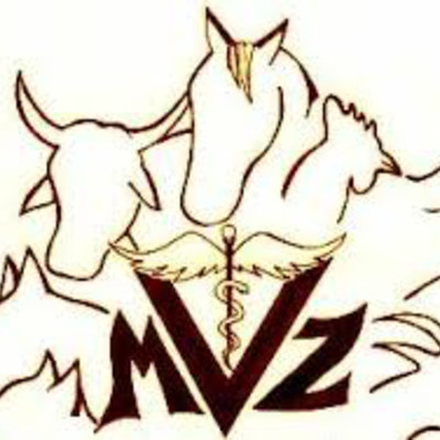 Timeline: Acontecimientos de la Medicina Veterinaria