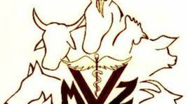 Timeline: Acontecimientos de la Medicina Veterinaria