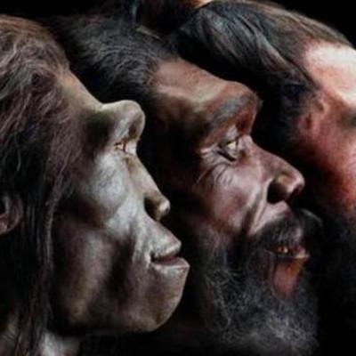 Timeline: la ciencia y los origenes