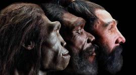 Timeline: la ciencia y los origenes