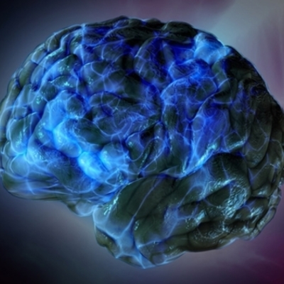Timeline: Técnicas y metodologías de investigación en las neurociencias.