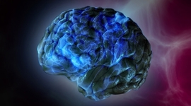 Timeline: Técnicas y metodologías de investigación en las neurociencias.