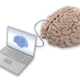 Cerebro computadora