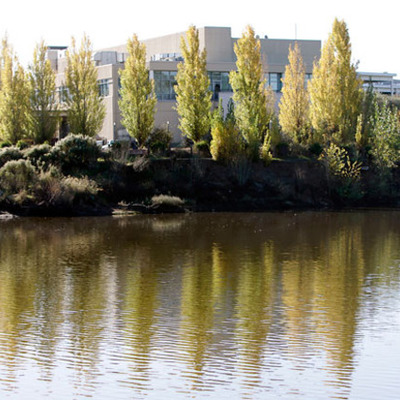 Timeline: The History of Copia