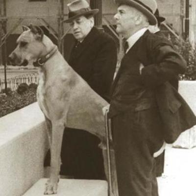 Timeline: Sucesos Históricos de la Medicina Veterinaria