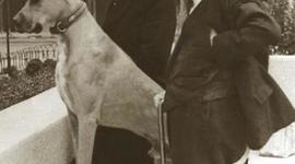 Timeline: Sucesos Históricos de la Medicina Veterinaria