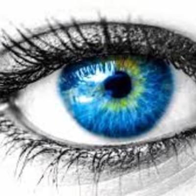 Timeline: Embriologia del Ojo