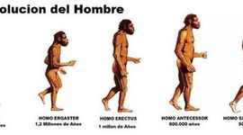 Timeline: Evolución del Hombre