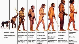 Timeline: LA EVOLUCIÓN DEL HOMBRE