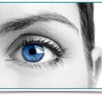 Timeline: DESARROLLO EMBRIONARIO DEL SISTEMA VISUAL