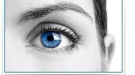 Timeline: DESARROLLO EMBRIONARIO DEL SISTEMA VISUAL