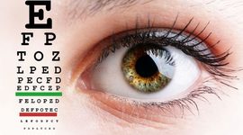 Timeline: DESARROLLO EMBRIONARIO DEL SISTEMA VISUAL