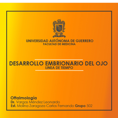 Timeline: DESARROLLO EMBRIONARIO DEL OJO