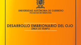 Timeline: DESARROLLO EMBRIONARIO DEL OJO