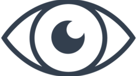 Timeline: LINEA DEL TIEMPO. EL DESARROLLO EMBRIONARIO DEL SISTEMA VISUAL.