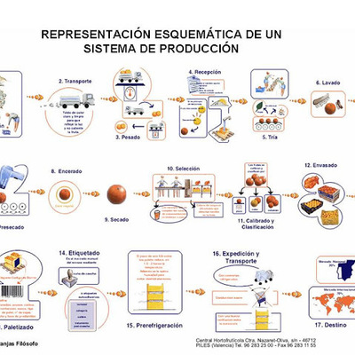 Timeline: Historia de los diferentes tipos de sistemas de producción