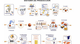 Timeline: Historia de los diferentes tipos de sistemas de producción