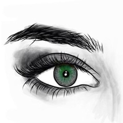 Timeline: DESARROLLO EMBRIONARIO DEL OJO HUMANO