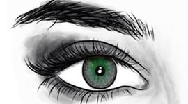 Timeline: DESARROLLO EMBRIONARIO DEL OJO HUMANO