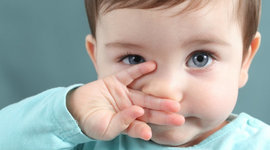 Timeline: DESARROLLO EMBRIONARIO DEL SISTEMA VISUAL