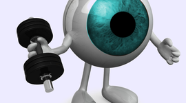 Timeline: EMBRIOLOGIA OCULAR