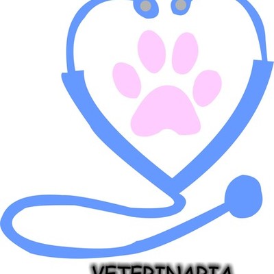 Timeline: Historia de la Medicina Vterinaria