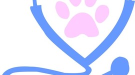 Timeline: Historia de la Medicina Vterinaria