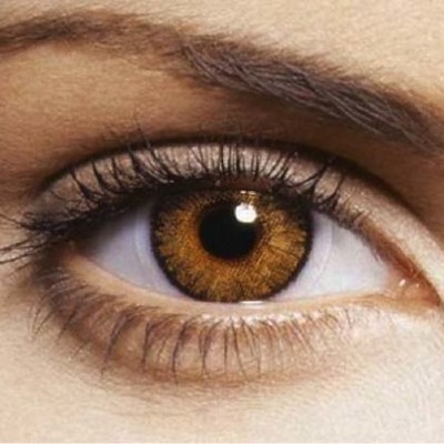 Timeline: Desarrollo embriológico del ojo