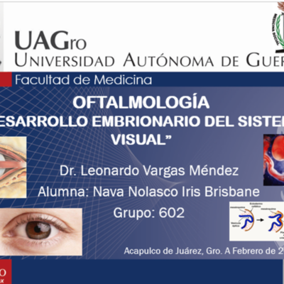 Timeline: DESARROLLO EMBRIONARIO DEL SISTEMA VISUAL