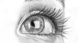 Timeline: EL DESARROLLO EMBRIONARIO DEL SISTEMA VISUAL