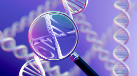 Timeline: Acontecimientos Importantes de la Genética