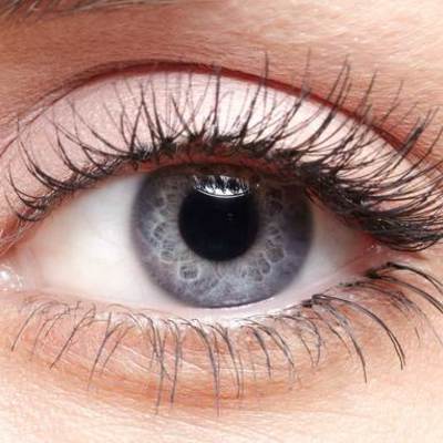 Timeline: DESARROLLO EMBRIONARIO DEL SISTEMA VISUAL