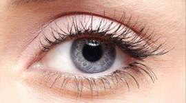 Timeline: DESARROLLO EMBRIONARIO DEL SISTEMA VISUAL