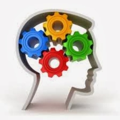 Timeline: Evolución del Cerebro