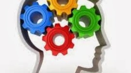 Timeline: Evolución del Cerebro