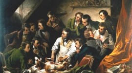 Timeline: Contribuciones y descubrimientos en Medicina Veterinaria