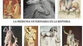 Timeline: Historia de la Veterinaria
