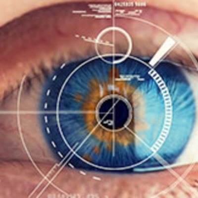 Timeline: Desarrollo embrionario del sistema visual